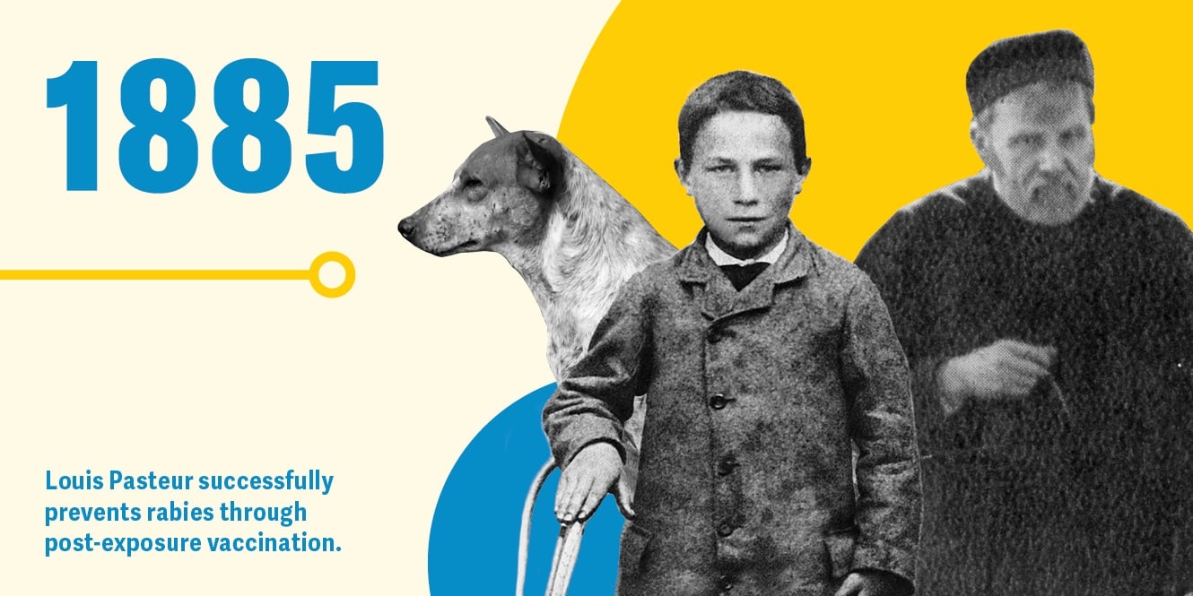 History of Vaccines_Web_Final_Text_5 Louis Pasteur successfully prevents rabies