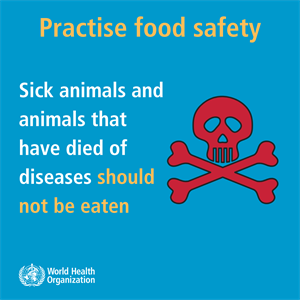 FS_sick animals sick animals and animals that have dies of diseases should not be eaten