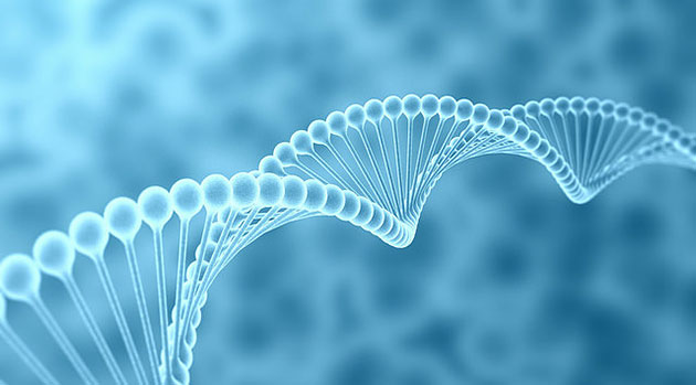 human-genome-flickr-630px genome