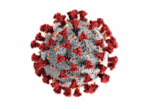 novel-coronavirus-card-format Novel coronavirus