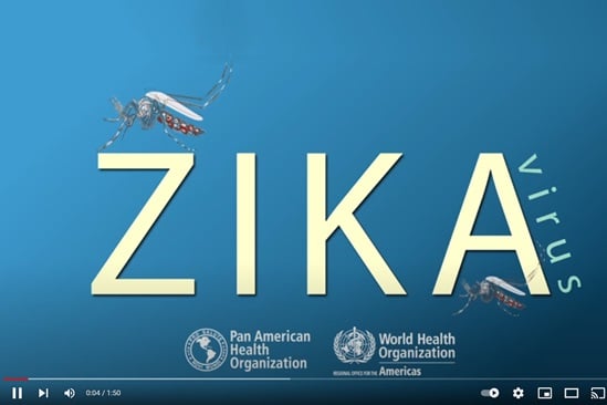 Zika virus Animation illustration