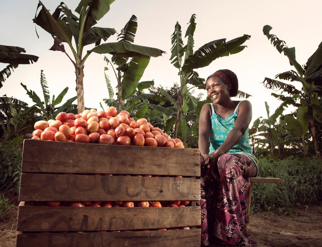 Olivia_surveys_the_fruits_of_her_labor