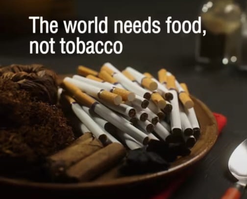 Tobacco insta