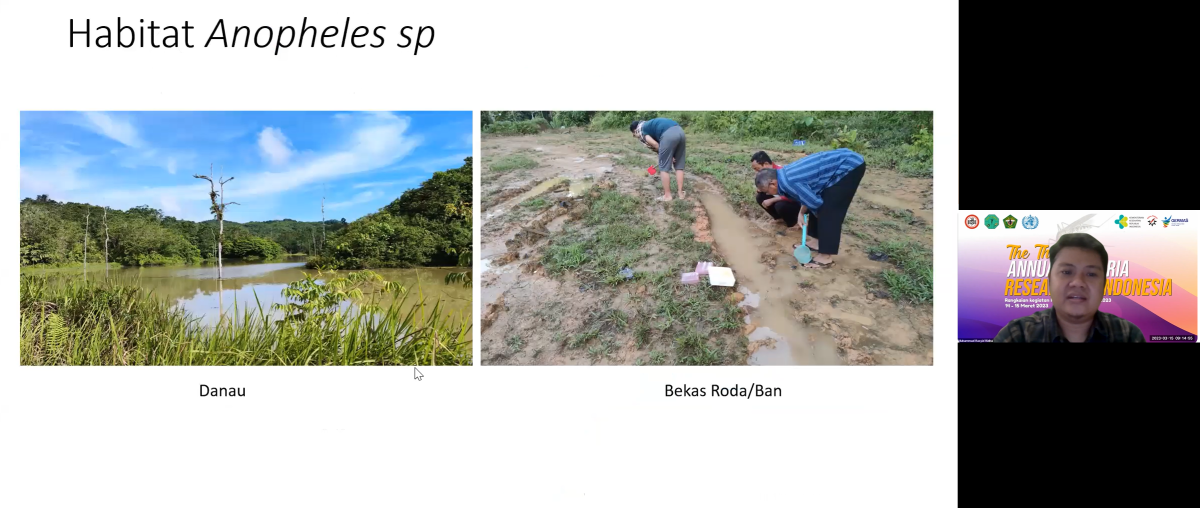 Screenshot of a webinar on malaria in Indonesia.