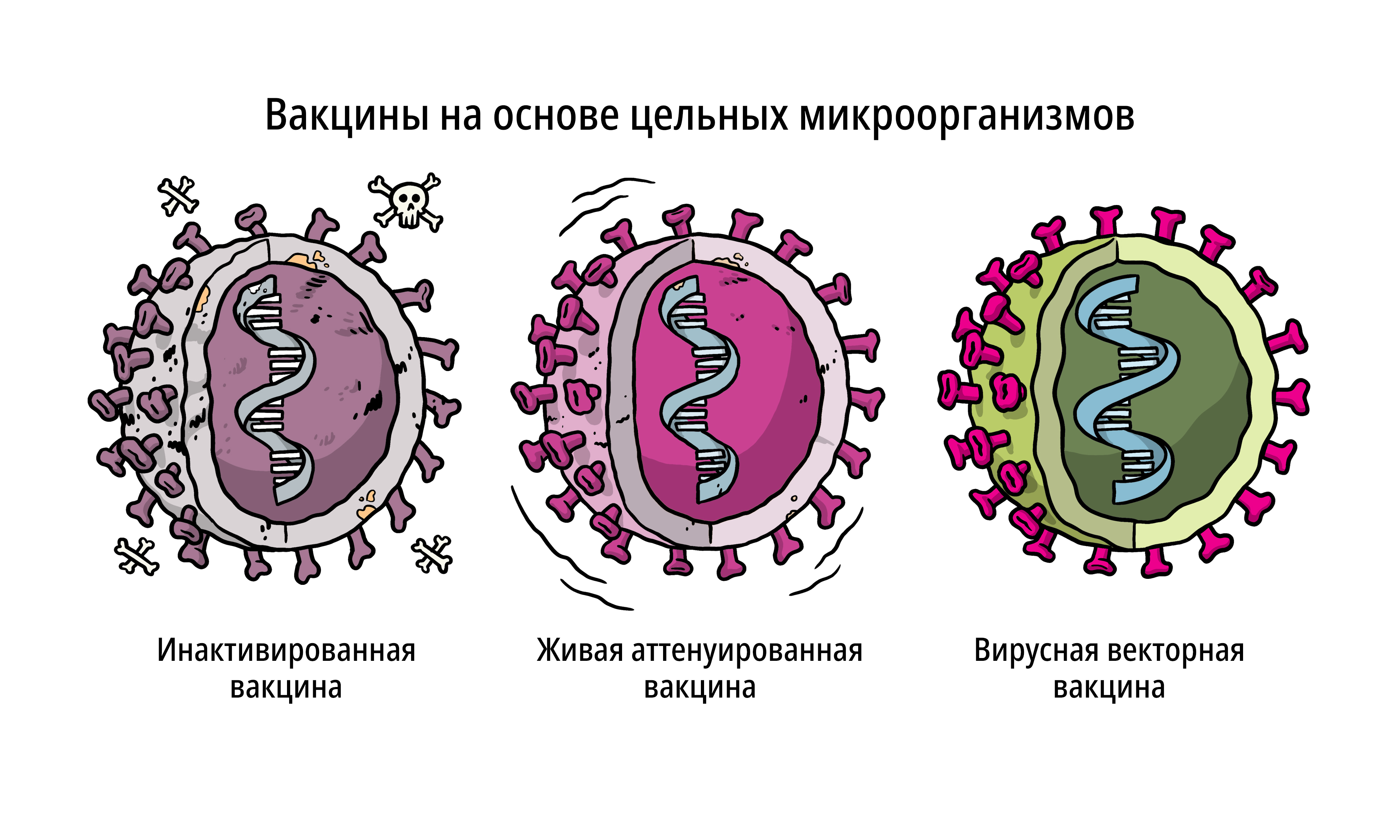 Vaccines Topics Four images working 02 Vaccines Topics Four images working 02